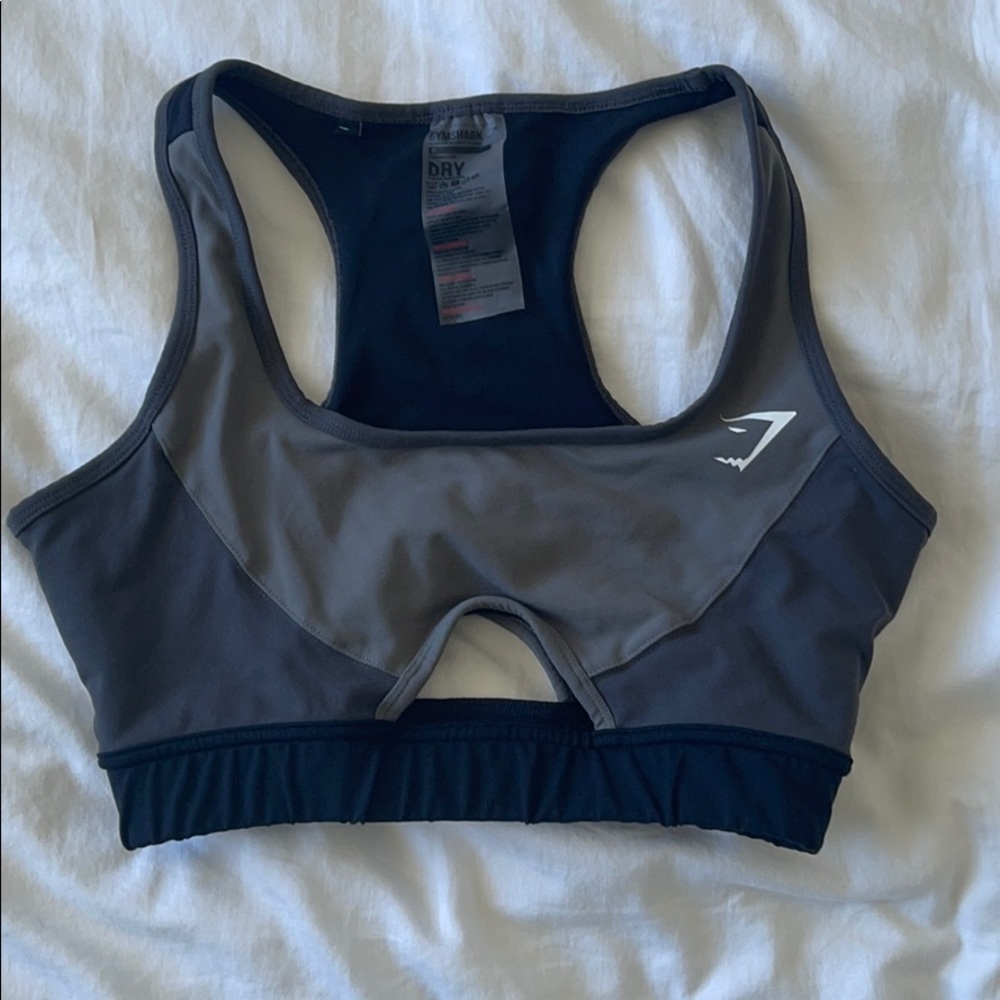 Gymshark Tonal Block Sports Bra